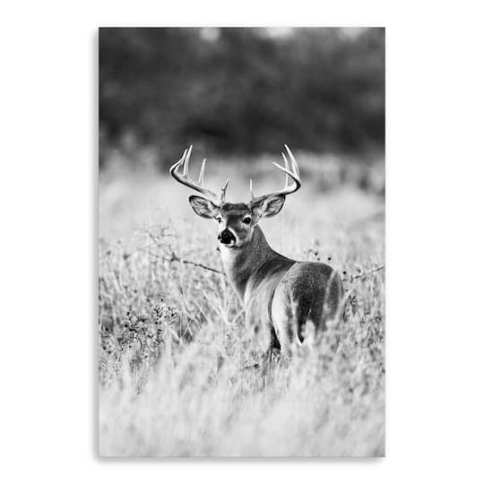 Grasslands Canvas Giclee